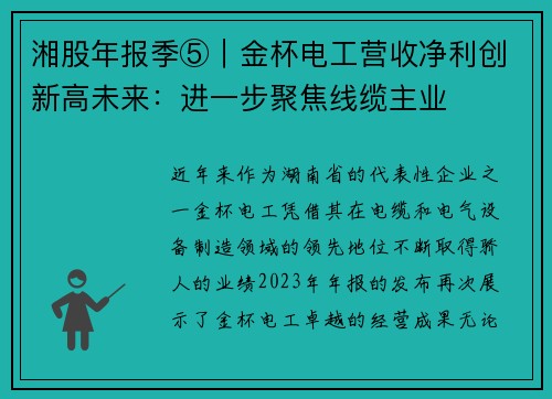 湘股年报季⑤｜金杯电工营收净利创新高未来：进一步聚焦线缆主业